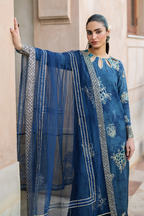 Embroidered Chiffon - Iznik