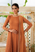 CC-88 Embroidered Chiffon