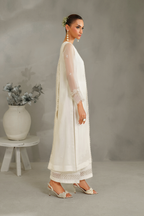 IP-340 Embroidered Chiffon