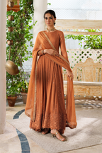 CC-88 Embroidered Chiffon