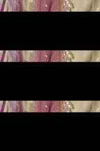 UE-546 Embroidered Chiffon - Iznik