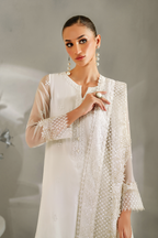 IP-340 Embroidered Chiffon