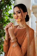 CC-88 Embroidered Chiffon