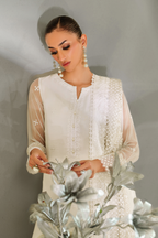 IP-340 Embroidered Chiffon