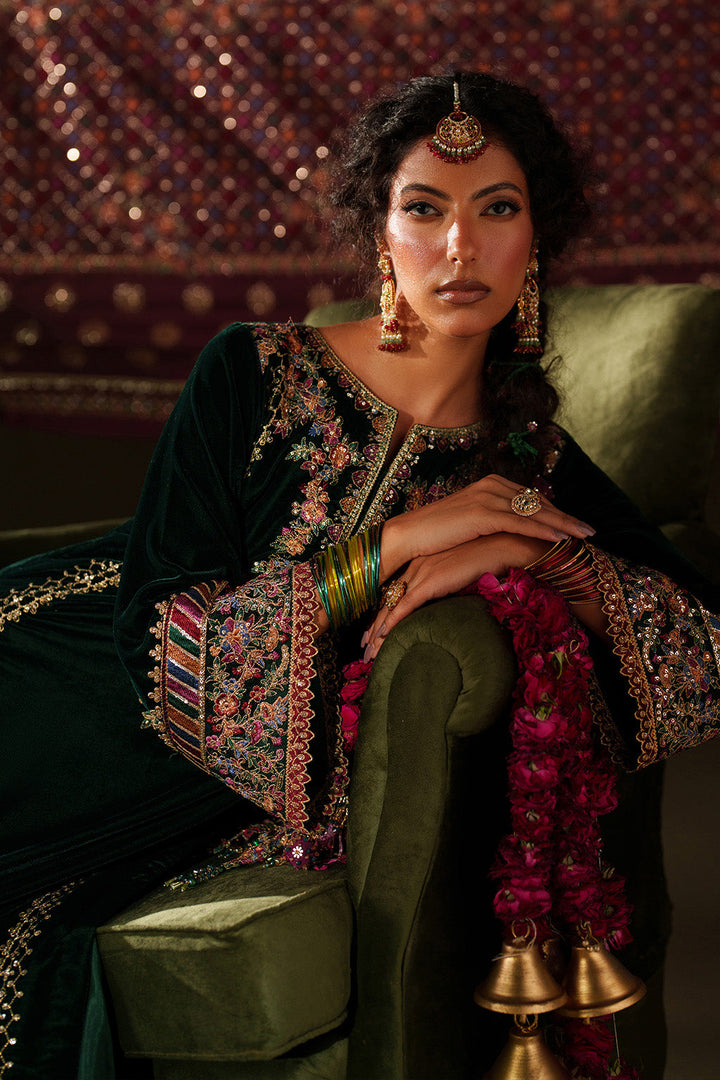 IV-74  Embroidered Velvet