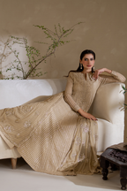 CC-58 Embroidered Chiffon - Iznik