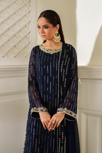 CC-89 Embroidered Chiffon