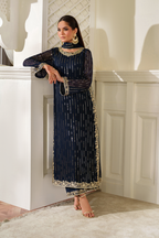 CC-89 Embroidered Chiffon