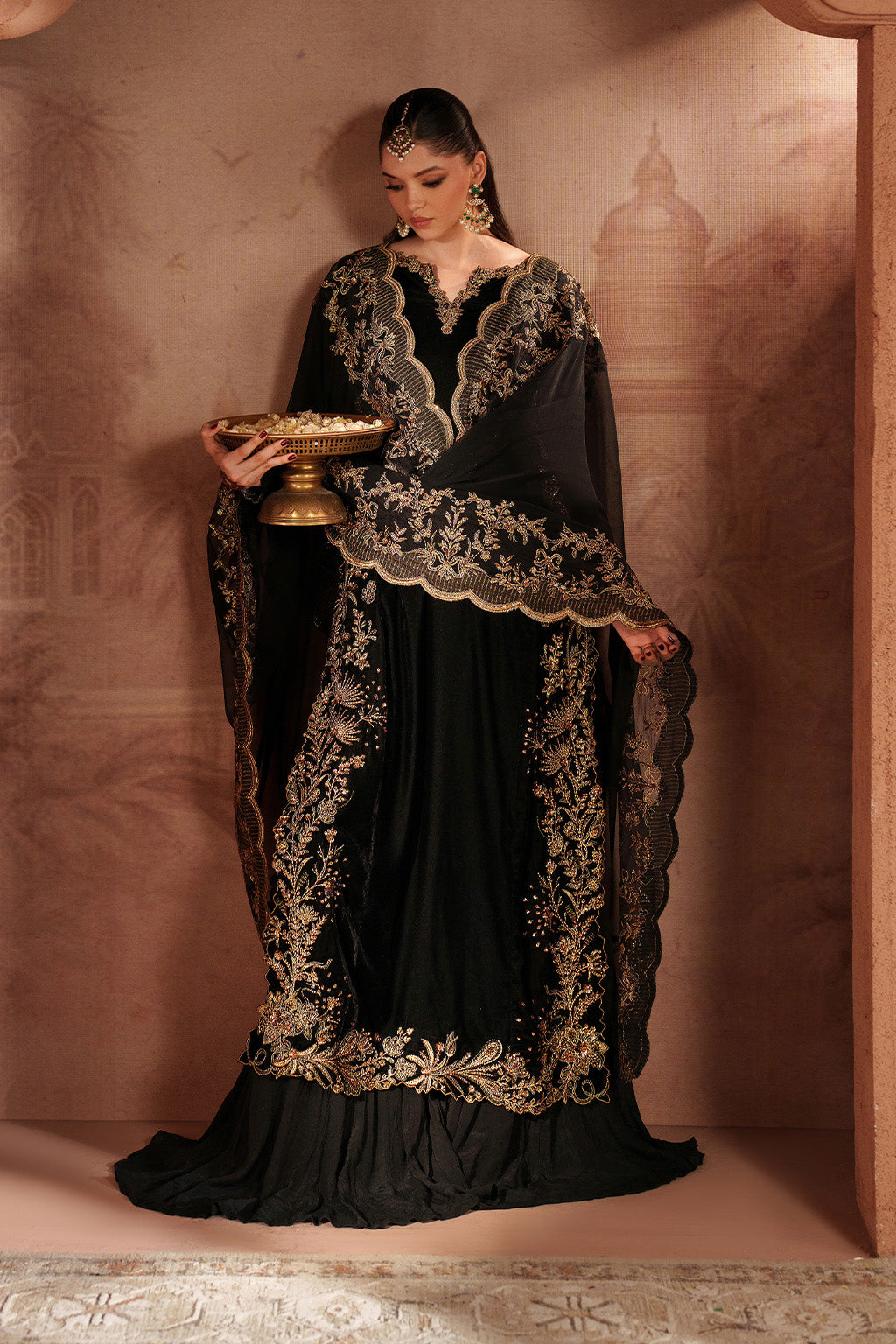 Raagni Velvet Collection 2025 | Designer Velvet Dresses Online