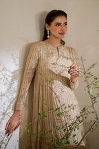 CC-58 Embroidered Chiffon - Iznik