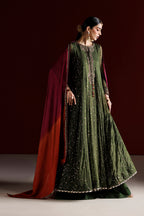CC-105 Embroidered Chiffon
