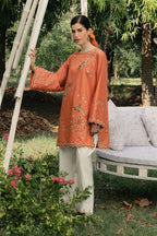 IP-378 DYED LAWN